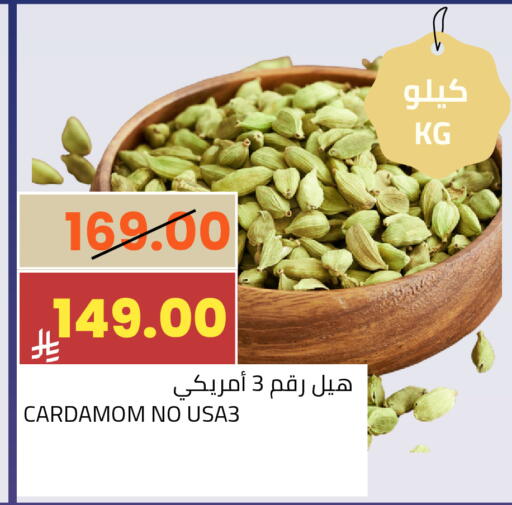 Cardamom available at أسواق أسترا in مملكة العربية السعودية, السعودية, سعودية - تبوك