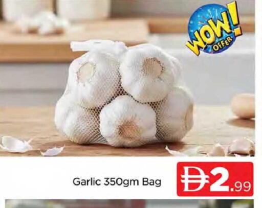 Garlic available at المدينة in الإمارات العربية المتحدة , الامارات - دبي