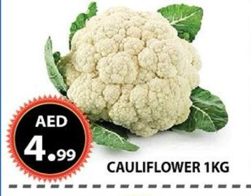 Cauliflower available at مركز الوحدة للتخفيضات in الإمارات العربية المتحدة , الامارات - الشارقة / عجمان
