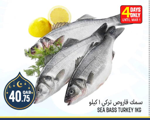 available at قصر الأغذية هايبرماركت in قطر - أم صلال