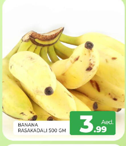 Banana available at المدينة in الإمارات العربية المتحدة , الامارات - الشارقة / عجمان