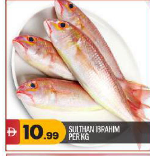 available at بيج مارت in الإمارات العربية المتحدة , الامارات - أبو ظبي