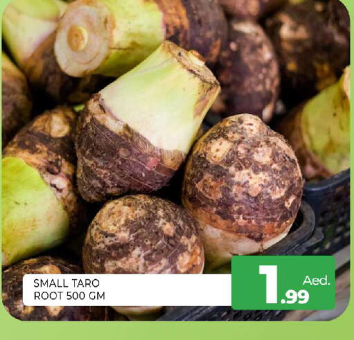 Taro available at المدينة in الإمارات العربية المتحدة , الامارات - الشارقة / عجمان