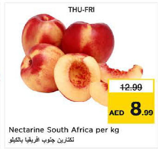 Nectarine from South Africa available at لاست تشانس in الإمارات العربية المتحدة , الامارات - ٱلْفُجَيْرَة‎