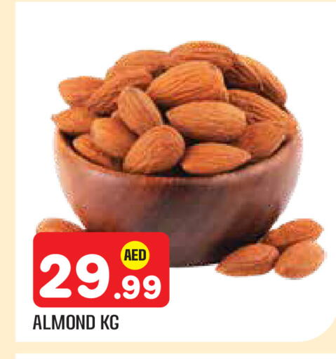 available at سنابل بني ياس in الإمارات العربية المتحدة , الامارات - أبو ظبي