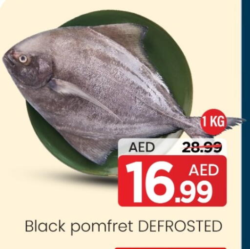 available at مارك & سيف in الإمارات العربية المتحدة , الامارات - أبو ظبي