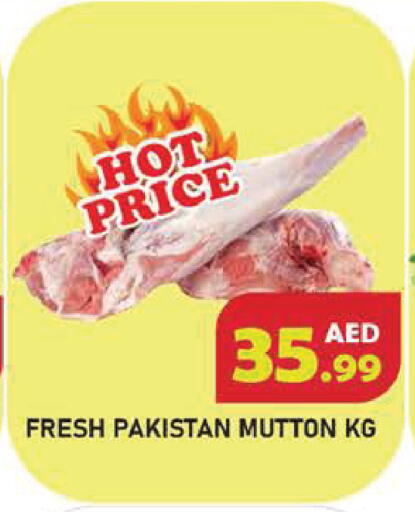 available at سنابل بني ياس in الإمارات العربية المتحدة , الامارات - أبو ظبي