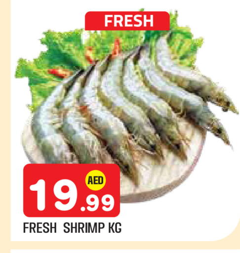 available at سنابل بني ياس in الإمارات العربية المتحدة , الامارات - أبو ظبي