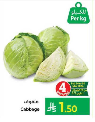 Cabbage available at كبايان هايبرماركت in مملكة العربية السعودية, السعودية, سعودية - جدة
