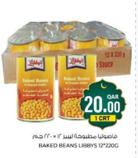 Tomato available at جملة in قطر - الشمال