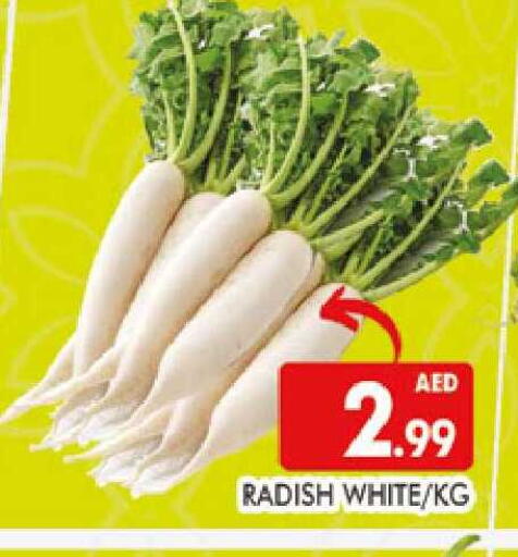Radish available at المدينة in الإمارات العربية المتحدة , الامارات - دبي