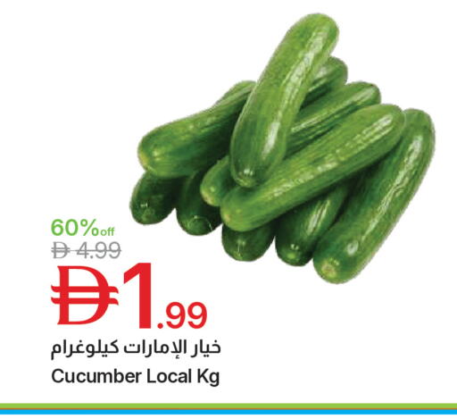 Cucumber available at جمعية الامارات التعاونية in الإمارات العربية المتحدة , الامارات - دبي