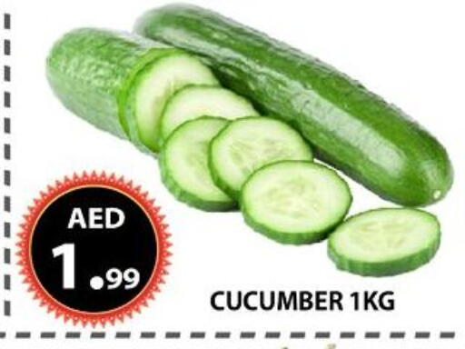 Cucumber available at مركز الوحدة للتخفيضات in الإمارات العربية المتحدة , الامارات - الشارقة / عجمان