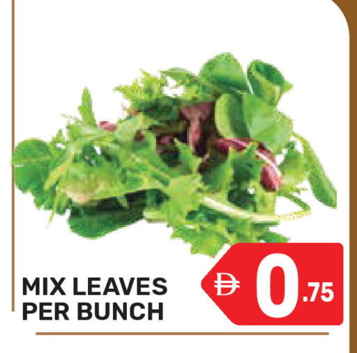 available at Dream Night hypermarket in UAE - Dubai