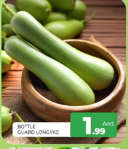 available at المدينة in الإمارات العربية المتحدة , الامارات - الشارقة / عجمان