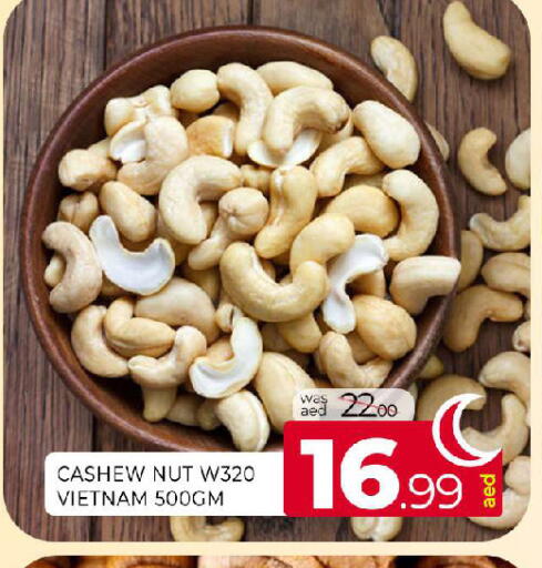 available at المدينة in الإمارات العربية المتحدة , الامارات - الشارقة / عجمان