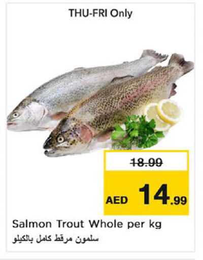 available at نستو هايبرماركت in الإمارات العربية المتحدة , الامارات - ٱلْفُجَيْرَة‎