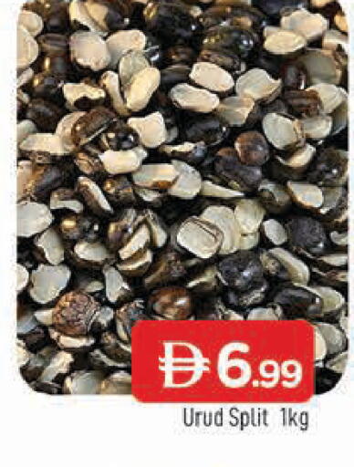 available at المدينة in الإمارات العربية المتحدة , الامارات - الشارقة / عجمان