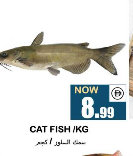 available at سوق المبارك هايبرماركت in الإمارات العربية المتحدة , الامارات - الشارقة / عجمان