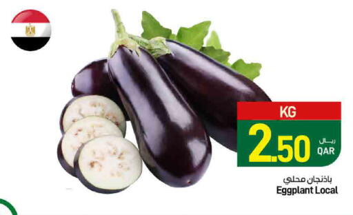 Eggplant available at ســبــار in قطر - الدوحة