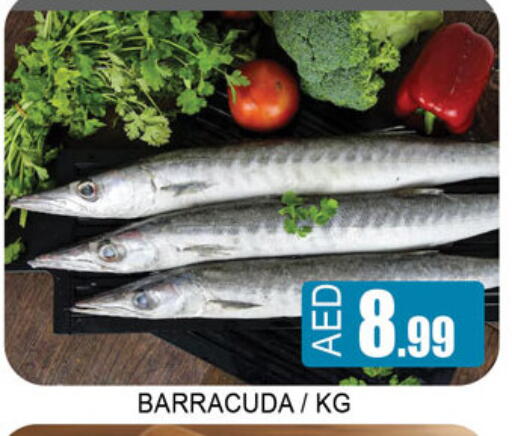 available at لكي سنتر in الإمارات العربية المتحدة , الامارات - الشارقة / عجمان