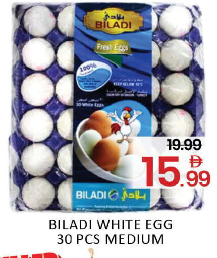 Mango available at Mango Hypermarket LLC in UAE - Dubai