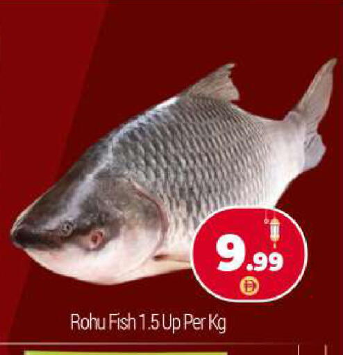 available at بيج مارت in الإمارات العربية المتحدة , الامارات - أبو ظبي