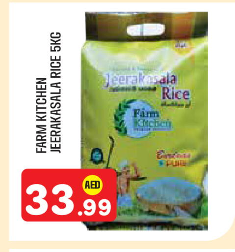 available at سنابل بني ياس in الإمارات العربية المتحدة , الامارات - أبو ظبي