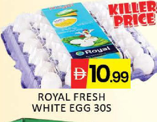 Mango available at Mango Hypermarket LLC in UAE - Dubai