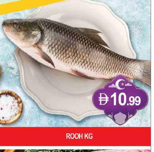 available at المدينة in الإمارات العربية المتحدة , الامارات - دبي