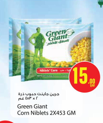 available at مونوبريكس in قطر - الشحانية