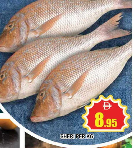 available at المدينة in الإمارات العربية المتحدة , الامارات - دبي