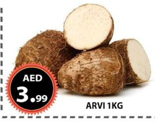 available at AL WAHDA DISCOUNTS CENTRE in UAE - Sharjah / Ajman