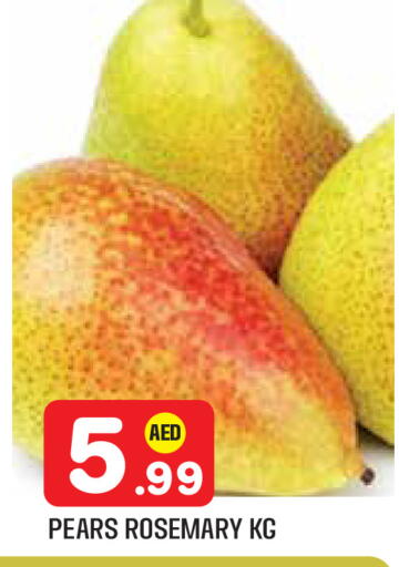 Rosemary available at سنابل بني ياس in الإمارات العربية المتحدة , الامارات - أبو ظبي