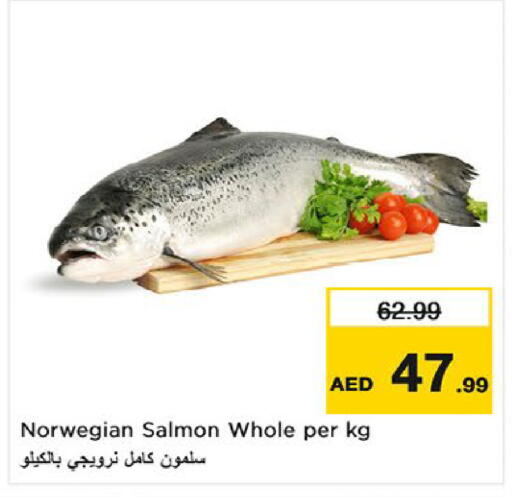 available at نستو هايبرماركت in الإمارات العربية المتحدة , الامارات - ٱلْفُجَيْرَة‎