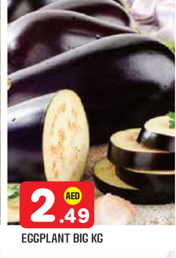 Eggplant available at سنابل بني ياس in الإمارات العربية المتحدة , الامارات - أبو ظبي
