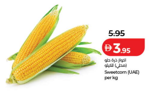 available at Lulu Hypermarket in UAE - Dubai