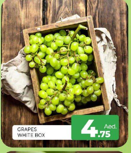 Grapes available at المدينة in الإمارات العربية المتحدة , الامارات - الشارقة / عجمان
