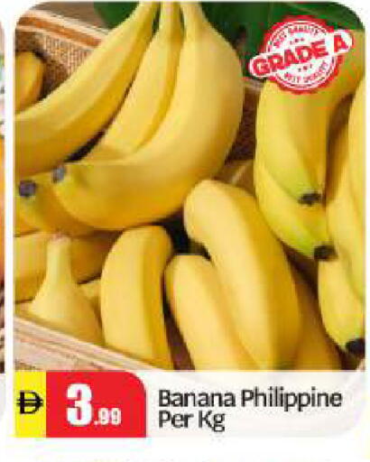 Banana from Philippines available at بيج مارت in الإمارات العربية المتحدة , الامارات - أبو ظبي
