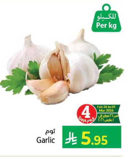 Garlic available at كبايان هايبرماركت in مملكة العربية السعودية, السعودية, سعودية - جدة