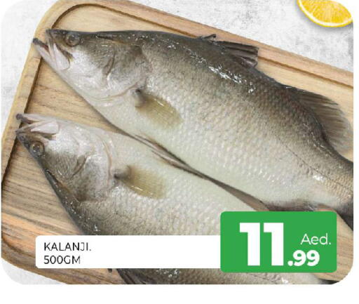 available at المدينة in الإمارات العربية المتحدة , الامارات - الشارقة / عجمان