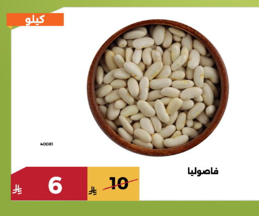 available at حدائق الفرات in مملكة العربية السعودية, السعودية, سعودية - مكة المكرمة