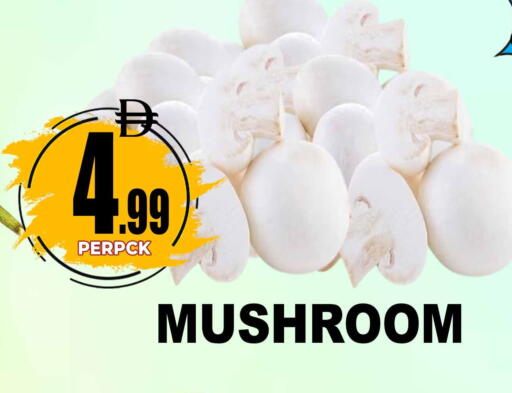 Mushroom available at مركز الخصومات سنترو in الإمارات العربية المتحدة , الامارات - دبي