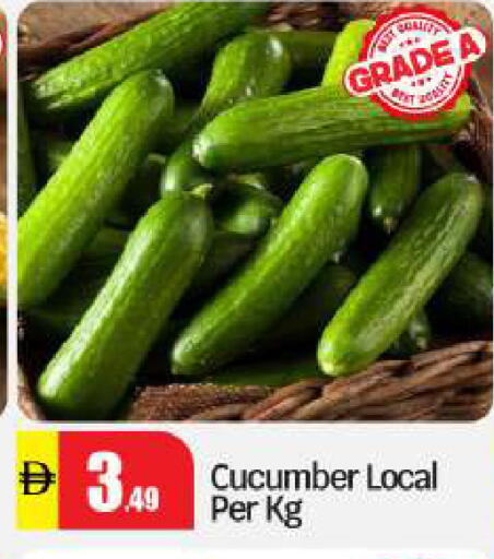 Cucumber available at بيج مارت in الإمارات العربية المتحدة , الامارات - أبو ظبي
