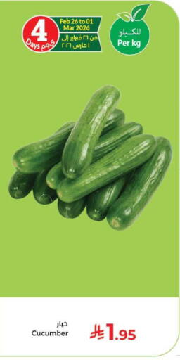 Cucumber available at كبايان هايبرماركت in مملكة العربية السعودية, السعودية, سعودية - جدة