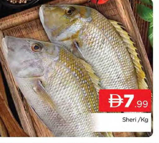 available at المدينة in الإمارات العربية المتحدة , الامارات - دبي