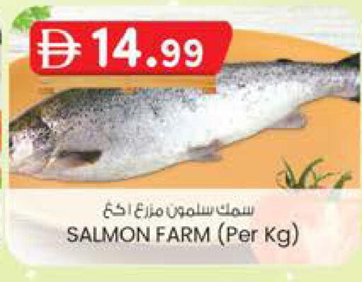 available at ك. الم. للتجارة in الإمارات العربية المتحدة , الامارات - ٱلْفُجَيْرَة‎