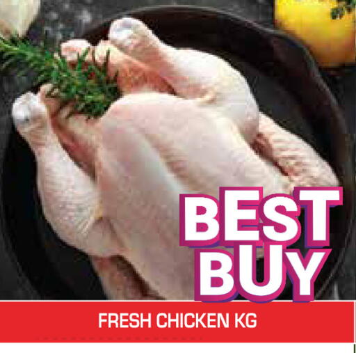 available at سنابل بني ياس in الإمارات العربية المتحدة , الامارات - أم القيوين‎