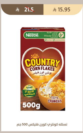 available at Qout Market in KSA, Saudi Arabia, Saudi - Ta'if