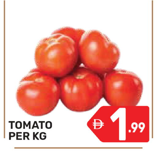 Tomato available at دريم نايت هايبرماركت in الإمارات العربية المتحدة , الامارات - دبي